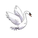 Swan logo