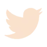 Twitter logo