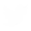 Twitter logo